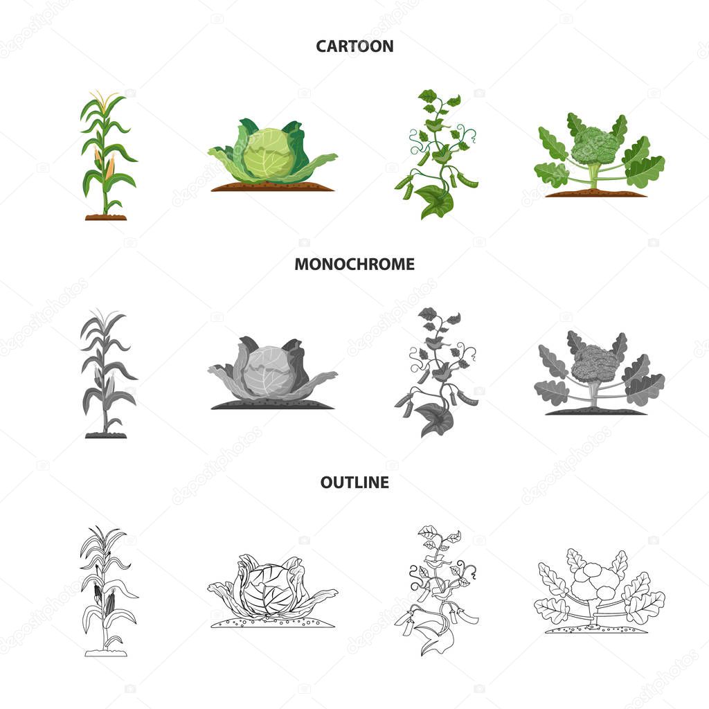 Isolated object of greenhouse and plant icon. Set of greenhouse and garden vector icon for stock.