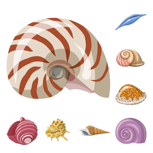 Illustration vectorielle du logo coquillage et mollusque. Ensemble de coquillages et de fruits de mer symbole de stock pour la toile . — Image vectorielle