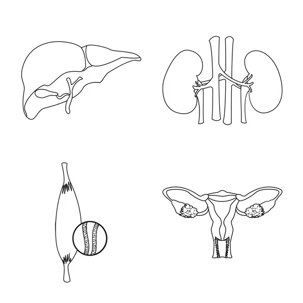 Oggetto isolato di corpo e logo umano. Set di corpo e stock simbolo medico per il web . — Vettoriale Stock