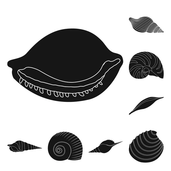 Diseño vectorial de la naturaleza y el símbolo del océano. Conjunto de naturaleza y molusco símbolo de stock para web . — Archivo Imágenes Vectoriales