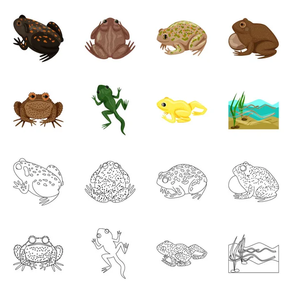 Vektor design av vilda djur och bog ikon. Insamling av vilda djur och reptiler Stock Vector illustration. — Stock vektor