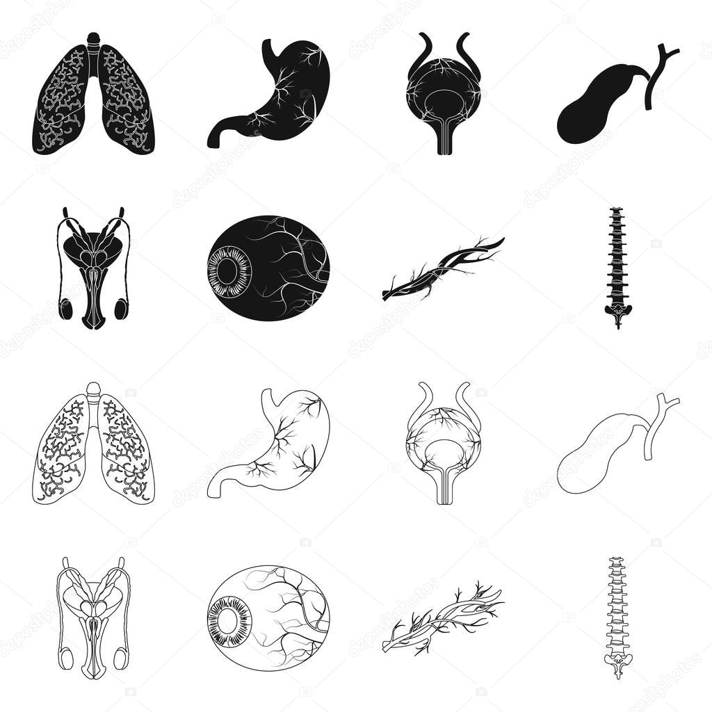 Vector illustration of body and human icon. Collection of body and medical stock symbol for web.