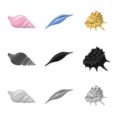 Hayvan ve dekorasyon logosu yalıtılmış nesne. Hayvan ve okyanus hisse senedi vektör çizim seti.