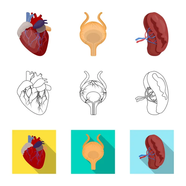 Illustrazione vettoriale del corpo e del simbolo umano. Set di icone del corpo e del vettore medico per stock . — Vettoriale Stock