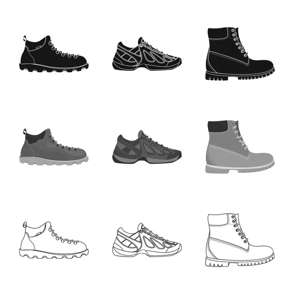 Diseño vectorial del logotipo del zapato y del calzado. Colección de zapato y pie icono vectorial para stock . — Vector de stock
