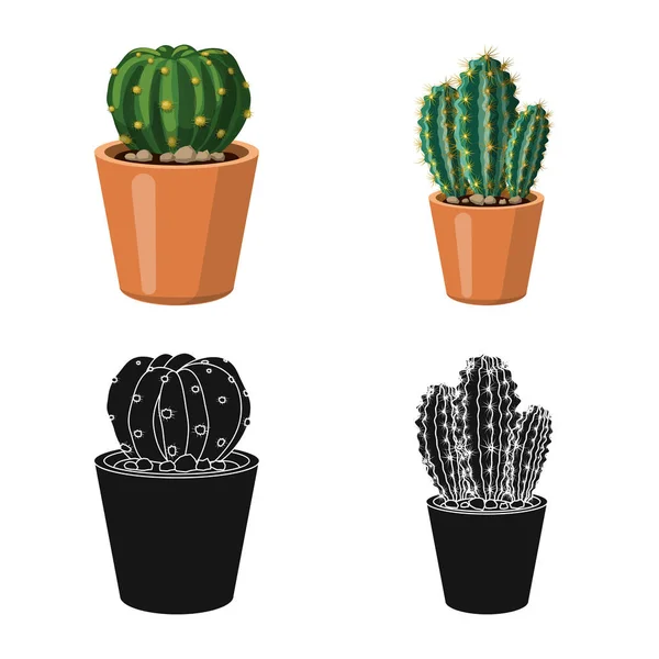 Diseño vectorial de cactus y pote símbolo. Colección de cactus y cactus símbolo de stock para web . — Archivo Imágenes Vectoriales