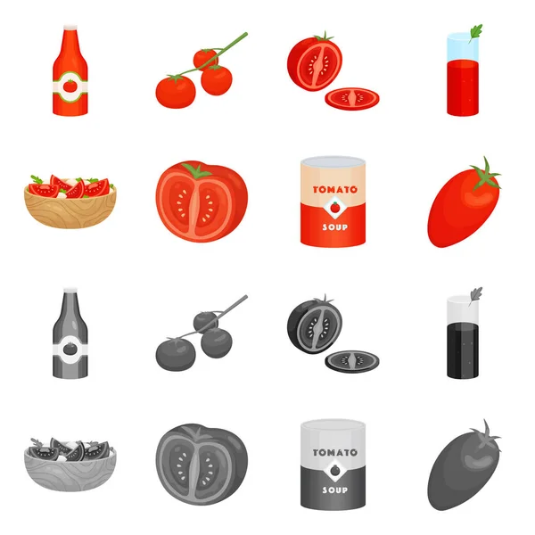 Vector design of vegetable and delicious icon. Collection of vegetable and natural stock vector illustration. — Stock Vector