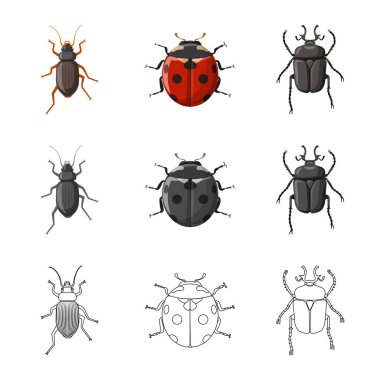 Böcek ve sinek sembolü yalıtılmış nesne. Böcek ve öğe hisse senedi simgesi için web topluluğu.