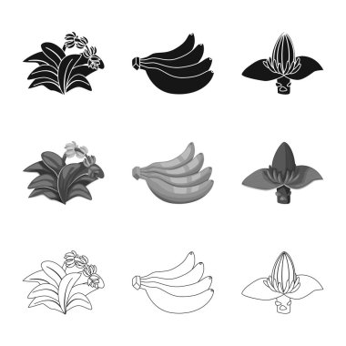 Doğal ve vejetaryen logo vektör Illustration. Doğal ve yeme hisse senedi vektör çizim topluluğu.