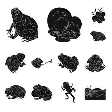 Fauna ve sürüngen işareti izole nesne. Fauna ve hikaye stok vektör çizim seti.