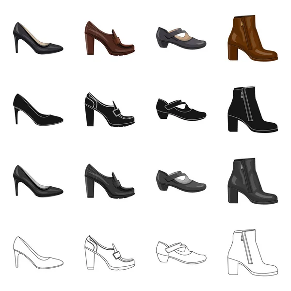 Vectorillustratie van schoeisel en vrouw teken. Collectie van schoeisel en voet vector pictogram voor voorraad. — Stockvector