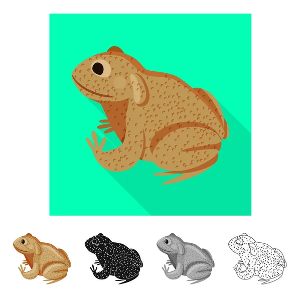 Vector illustratie van Toad en tropisch symbool. Verzameling van Toad en ecologie voorraad symbool voor web. — Stockvector