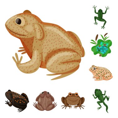 Vektör tasarım kurbağa ve hikaye sembolü. Kurbağa ve hayvan stok vektör çizim koleksiyonu.