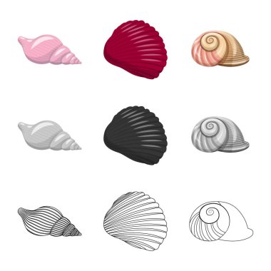 Hayvan ve dekorasyon logosu yalıtılmış nesne. Hayvan ve okyanus hisse senedi vektör çizim topluluğu.