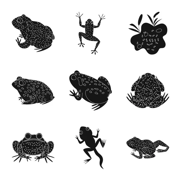 प्राणी आणि रेप्टिल चिन्ह वेक्टर डिझाइन. वेब साठी प्राणी आणि Anuran स्टॉक प्रतीक सेट . — स्टॉक व्हेक्टर