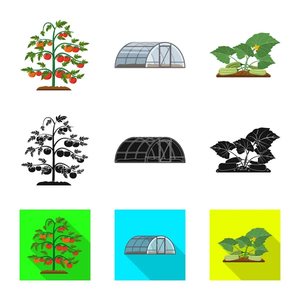 温室和植物标志的向量例证。收集温室和花园矢量图标的股票. — 图库矢量图片