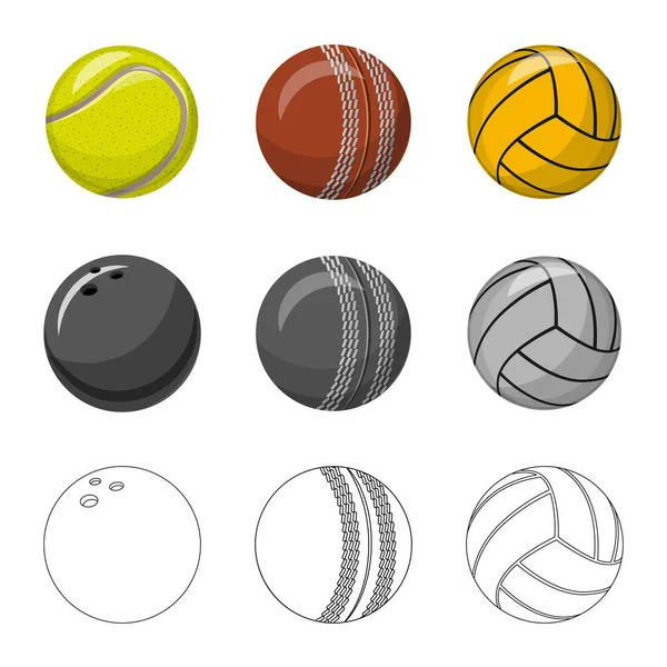 Isolierte Objekt des Sports und Ballzeichen. Set von Sport und athletischen Aktienvektoren Illustration. — Stockvektor