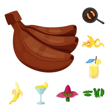 Tropikal ve olgun sembol vektör illüstrasyon. Stok için tropikal ve potasyum vektör simgesinin toplanması.