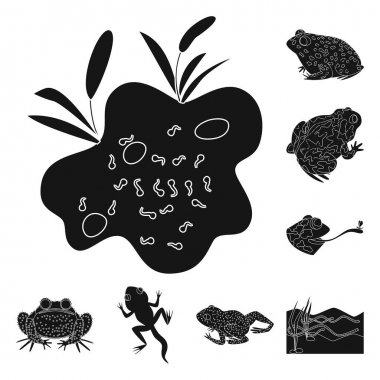 Fauna ve sürüngen simge vektör tasarımı. Fauna ve anuran vektör simgesini hissenin topluluğu.