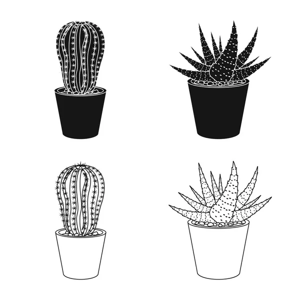 Ilustración vectorial de cactus e ícono del pote. Colección de cactus y cactus vector icono para stock . — Archivo Imágenes Vectoriales