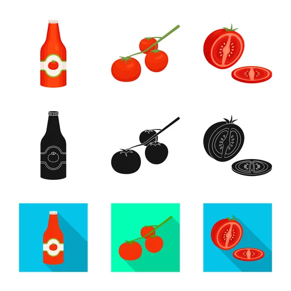 Vector design of vegetable and delicious icon. Collection of vegetable and natural vector icon for stock. — Stock Vector