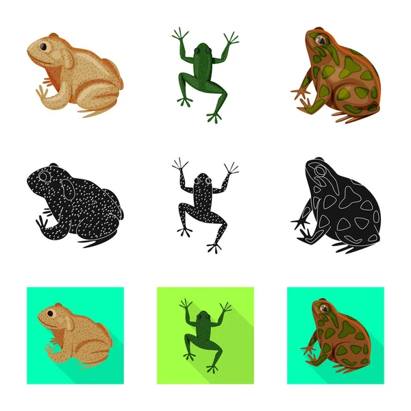 Diseño vectorial de la fauna y el logotipo del pantano. Conjunto de vida silvestre y reptil vector icono para stock . — Archivo Imágenes Vectoriales