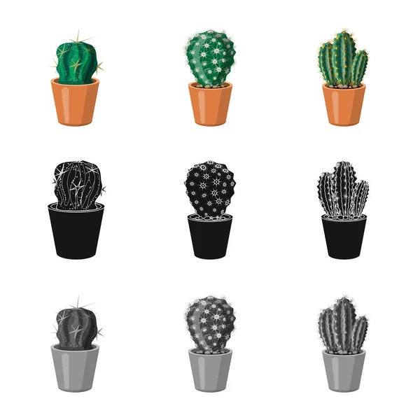 Illustrazione vettoriale di cactus e simbolo di pentola. Set di icone vettoriali cactus e cactus per stock . — Vettoriale Stock