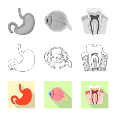 Vücut ve insan logo vektör çizimi. Vücut ve hisse senedi için tıbbi vektör ikon koleksiyonu.