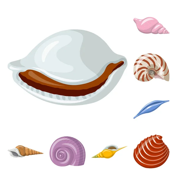 Projeto vetorial de concha e logotipo do molusco. Conjunto de concha e ícone do vetor de frutos do mar para estoque . — Vetor de Stock