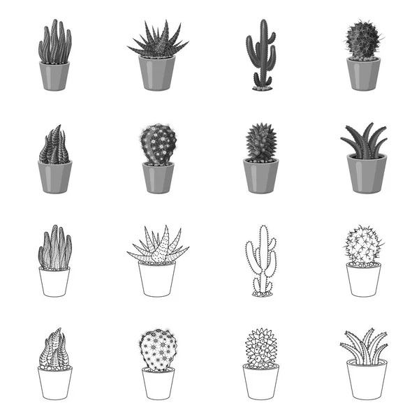Векторный дизайн кактуса и логотипа горшка. Коллекция векторных иллюстраций кактусов и кактусов . — стоковый вектор