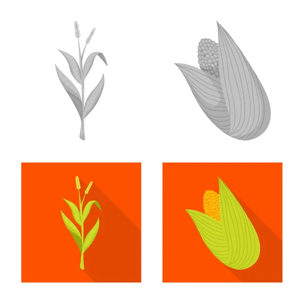 Objeto isolado de milheiral e sinal vegetal. Coleção de milheiral e símbolo de estoque vegetariano para web . —  Vetores de Stock