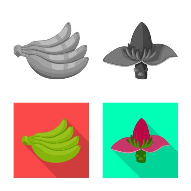 Doğal ve vejetaryen simge vektör tasarımı. Hisse senedi için doğal ve yeme vektör simge topluluğu.