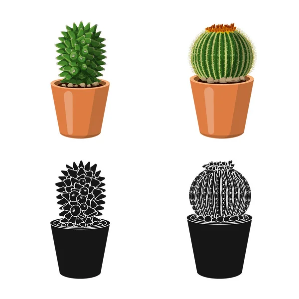 Diseño vectorial de cactus e ícono de maceta. Conjunto de cactus y cactus símbolo de stock para web . — Archivo Imágenes Vectoriales