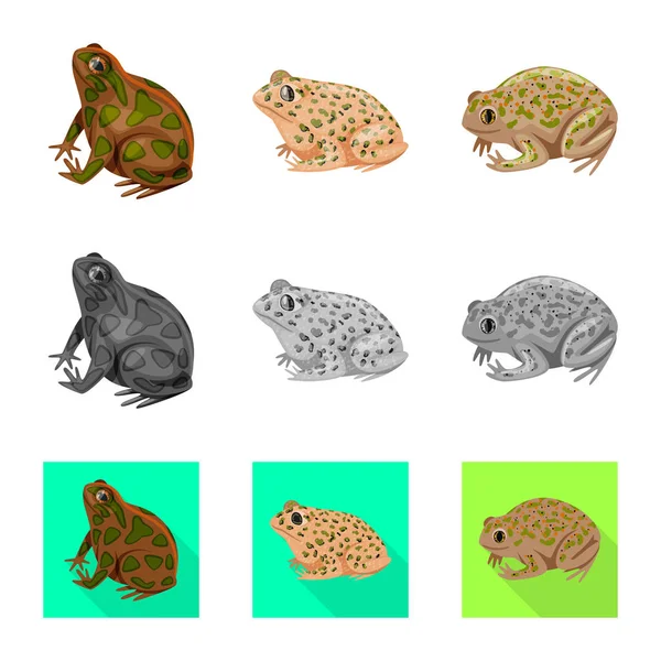 Vector tervezése vadon élő állatok és a Bog jel. Gyűjtemény a vadon élő állatok és hüllő állomány vektor illusztráció. — Stock Vector