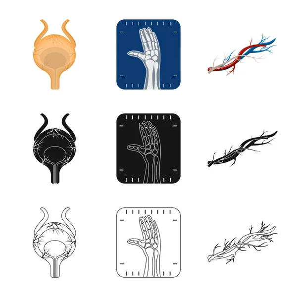Vector design of body and human logo. Collection of body and medical stock vector illustration. — Stock Illustration Vector design of body and human logo. Collection of body and medical stock vector illustration. Royalty Free Stock Vectors