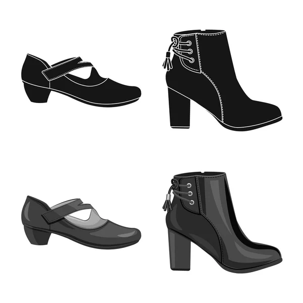 Diseño vectorial de calzado y símbolo de mujer. Set de calzado y pie vector icono para stock . — Vector de stock