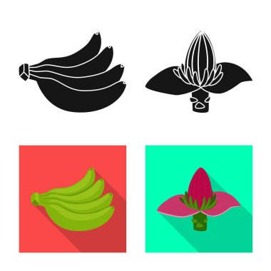 Doğal ve vejetaryen simge vektör Illustration. Doğal ve yeme hisse senedi simgesi için web topluluğu.