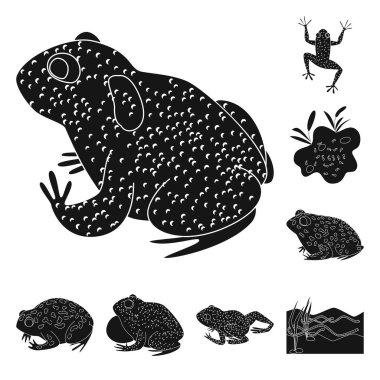 Fauna ve sürüngen simgesi vektör tasarımı. Web için fauna ve anuran stok sembolü koleksiyonu.