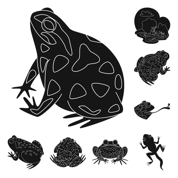 Diseño vectorial del logo de fauna y reptiles. Conjunto de fauna y anuran stock symbol para web . — Archivo Imágenes Vectoriales