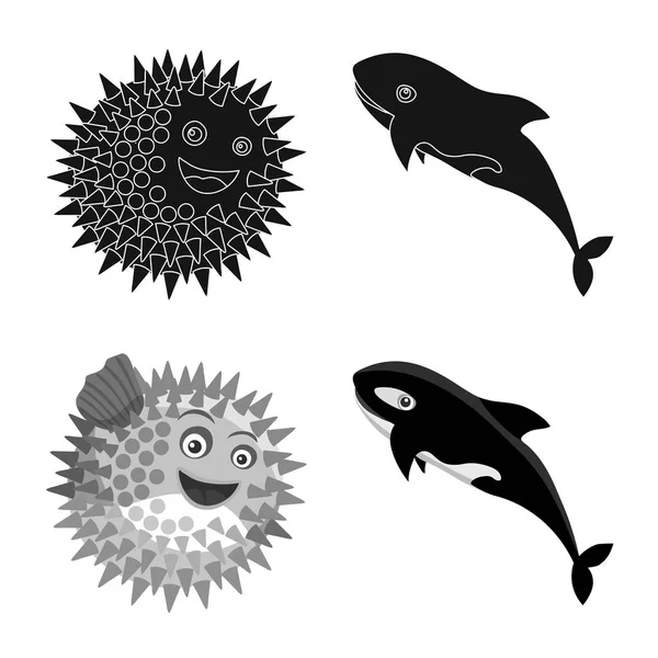 Objeto aislado de mar y símbolo animal. Conjunto de ilustración de vectores marinos y marinos . — Vector de stock