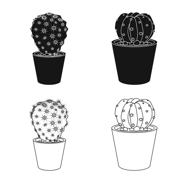 Conception vectorielle du cactus et du logo du pot. Collection de cactus et de cactus illustration vectorielle de stock . — Image vectorielle