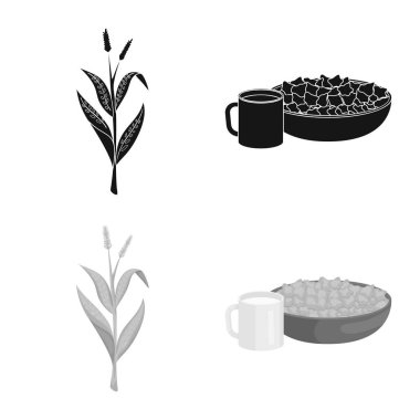 Mısır tarlası ve sebze logo vektör tasarımı. Mısır tarlası ve vejetaryen hisse senedi vektör çizim koleksiyonu.