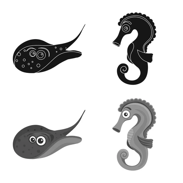 Diseño vectorial de mar y signo animal. Conjunto de símbolo de stock marino y marino para web . — Vector de stock