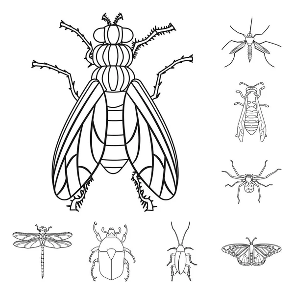 Ilustracja wektorowa owadów i mucha symbolu. Kolekcja owadów i element Stockowa ilustracja wektorowa. — Wektor stockowy