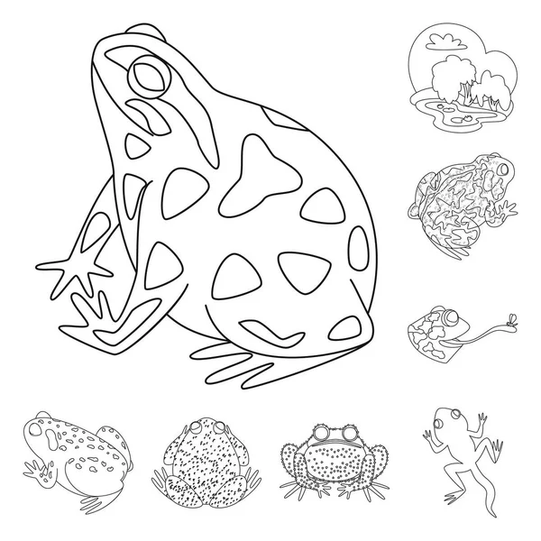 Illustrazione vettoriale del logo anfibio e animale. Raccolta di icone vettoriali anfibie e naturali per stock . — Vettoriale Stock
