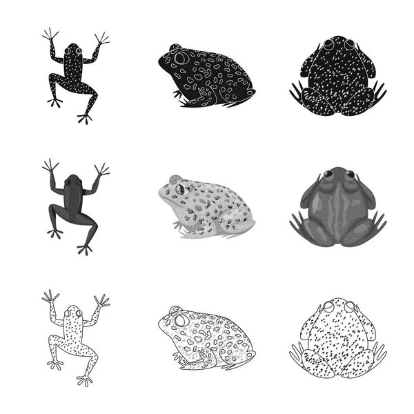 Vektorillustration von Wildtieren und Moorsymbolen. Set von Wildtieren und Reptilien Vektor-Symbol für Aktien. — Stockvektor