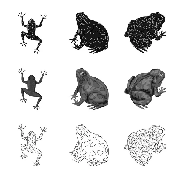 Векторный дизайн дикой природы и болотного знака. Набор векторных иллюстраций дикой природы и рептилий . — стоковый вектор