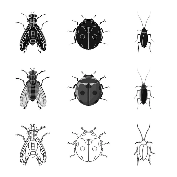 Objeto isolado de ícone de inseto e mosca. Conjunto de símbolo de estoque de insetos e elementos para web . —  Vetores de Stock