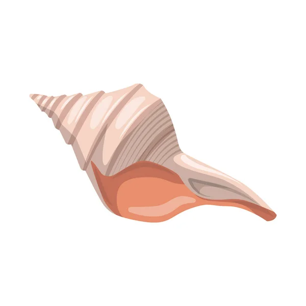 Isolated object of seashell and mollusk symbol. Collection of seashell and seafood stock symbol for web. — Stock Vector