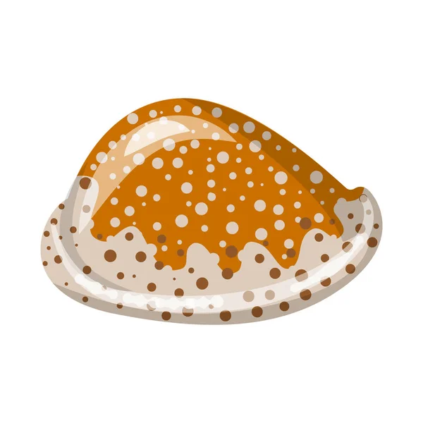 Geïsoleerd object van Seashell en weekdier icoon. Collectie van schelp-en schaaldieren Stock vector illustratie. — Stockvector